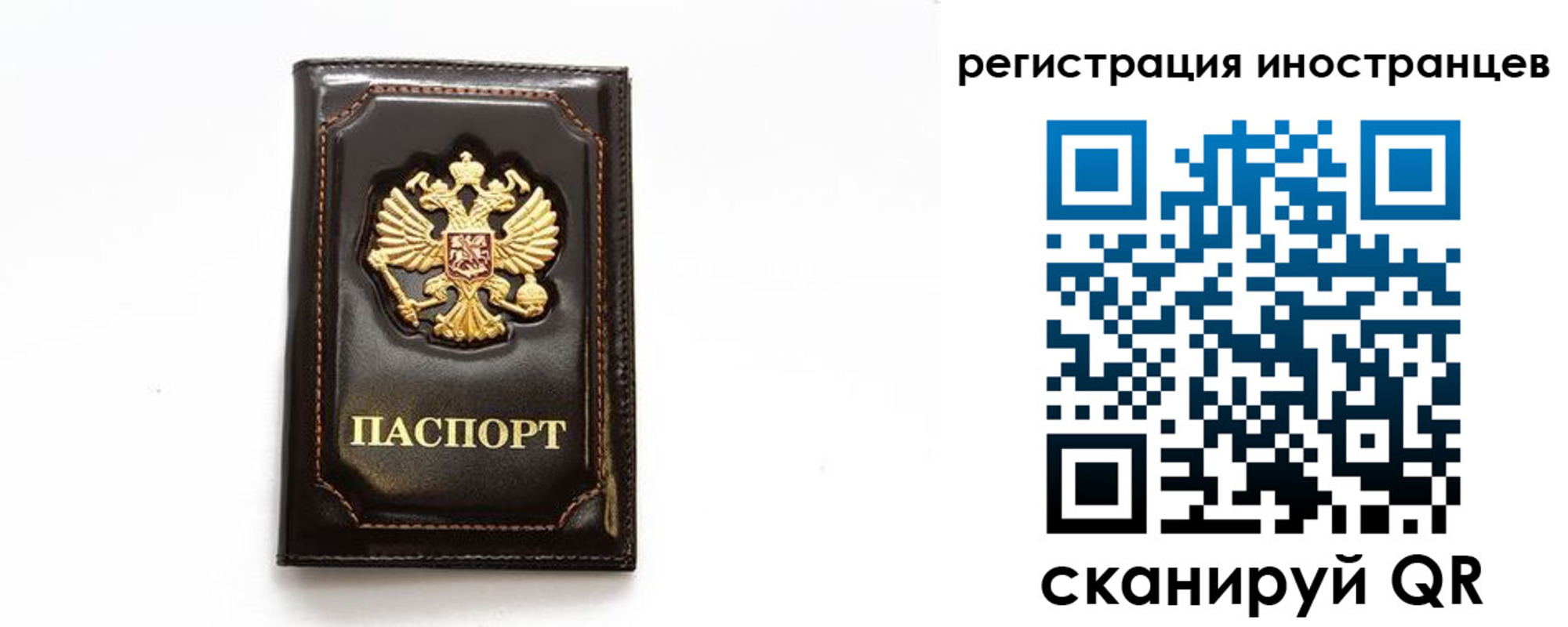 прописка в Новороссийске